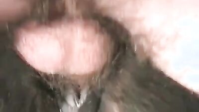Animal crossing porn: zoo porn kissing