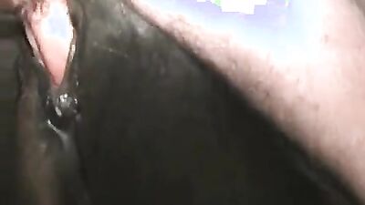 Animal crossing porn: zoo porn kissing