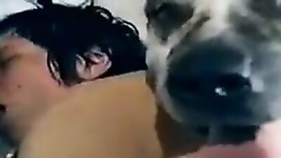 Dog's porn: animal dog porn video