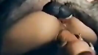 Dog's porn: animal dog porn video