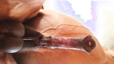 3d dog porn: art of zoo teacher xxx