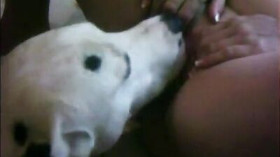 Dog girl 1: girl dog hard