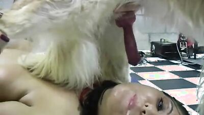 Bestiality comics: hotren zoo porn xxx