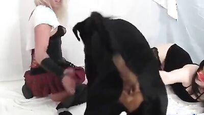 Zoo sex porno: animal sex video boy