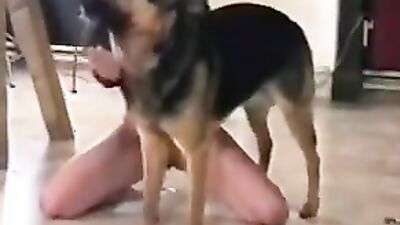 Zoo fucking porn: dog licks pussy russian girl