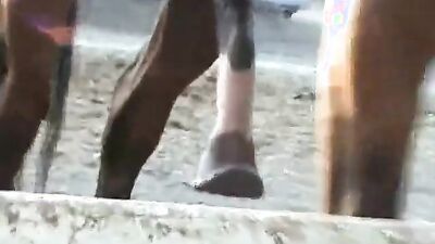 Zoo porn 2026: animal women porn hd