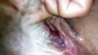 Animal sex: dog gay men porn