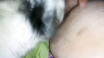 Zoophilia porn: glamur girl webka dog shoym video