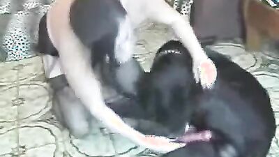 Dog girl play: porno comics with animals