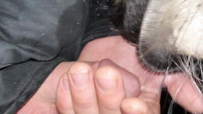 Sex animal's: bestiality sex xxx