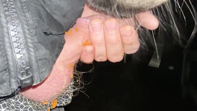 Sex animal's: bestiality sex xxx