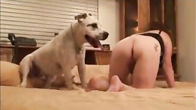 Bestiality: bestiality toons