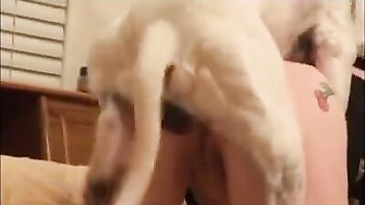 Bestiality: bestiality toons