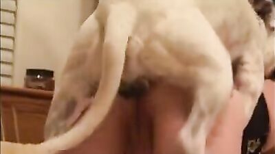 Bestiality: bestiality toons