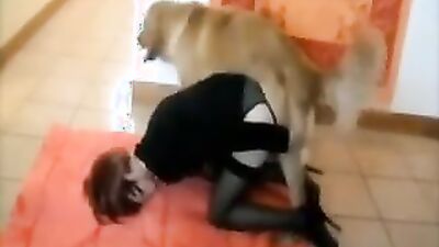 Dog licking girl: male dog zoophilia
