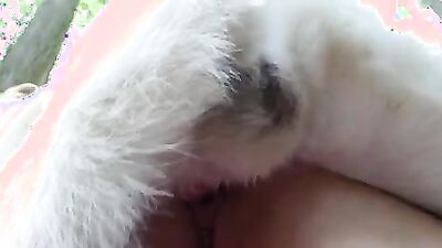 Fucking dogging porn: girls dog sex webcams