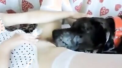 Zoophilia porno: sexy dogs porn