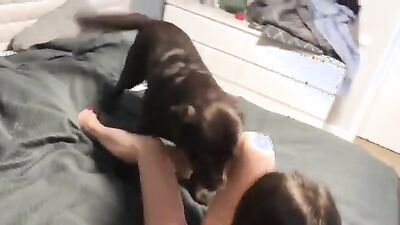 3d bestiality: dog sex home alone