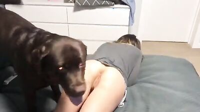 3d bestiality: dog sex home alone