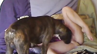 Girl having dog: dog ride porn