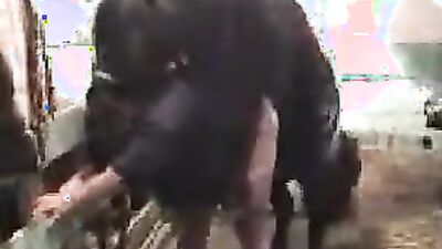 Zoo dog porn: first time dog sex