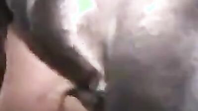 Zoo dog porn: first time dog sex