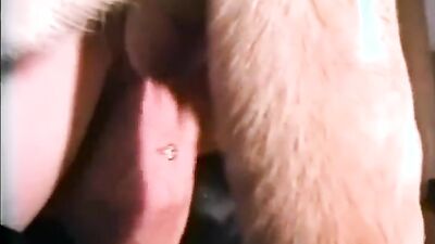 Animal cross porn: porn loves zoo