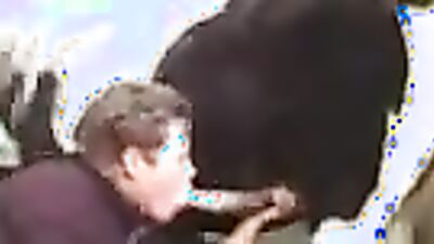 Dog girl anal: big dogs sex girl