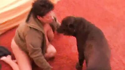 Bestiality: sex between sexy girls and animals