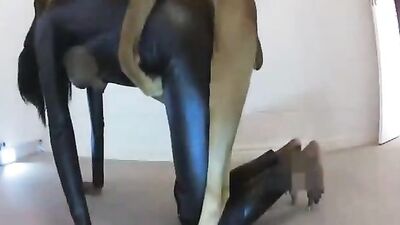 Zoo sex porn: guy fucks a dog zoophilia