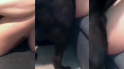 Zoo fuck porn: amateur anal dog sex