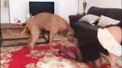 Girls s dogs: japan dog porn