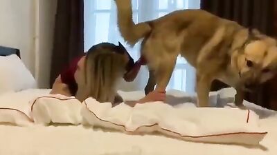 Bestiality: man vs animals porno