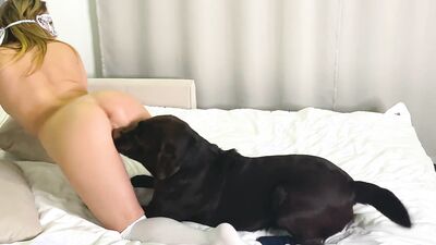 3d zoo porn: 18 gay porn zoophilia