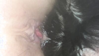 3d zoo porn: 18 gay porn zoophilia