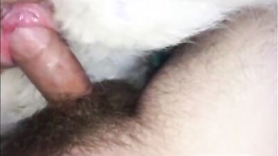 Bestiality zoo: squid dog porn
