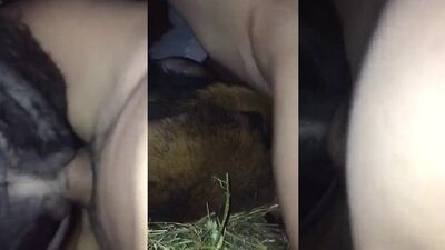 Dog sex video: chessie moore dog sex