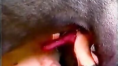 Zoophilia porno: cartoons zoophilia