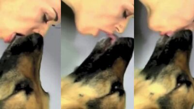 Teen zoo porn: zoo porn hentai game