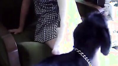 Zoo porn man: girl and dog sex comics