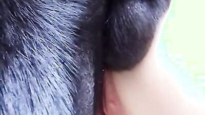 Zoo porn man: girl and dog sex comics