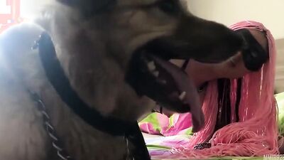 Animal cross porn: dog i grili sex