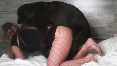 Bestiality sex id: zoo bestiality horse