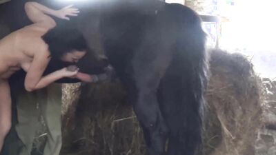 Art of zoo: zoo in wife train sex
