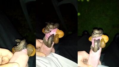 1 girl 5 dog: sex human x dog