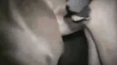 Animal sex porn: rule 34 bestiality canine