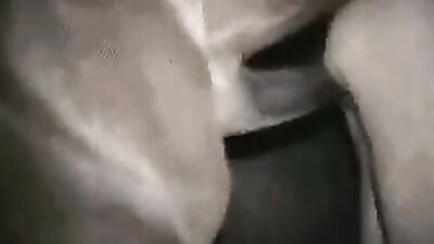 Animal sex porn: rule 34 bestiality canine