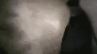 Animal sex porn: rule 34 bestiality canine