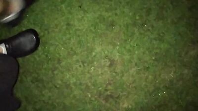 Zoo sex porno: bestiality classroom