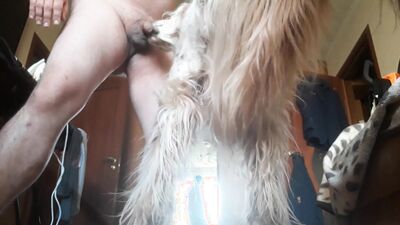 Bestiality porno: dog humping girl camshow